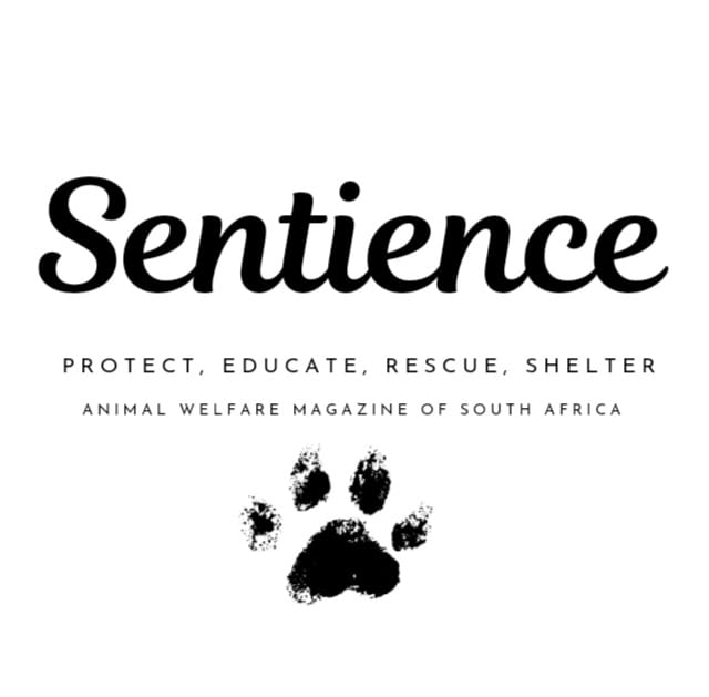 Sentience