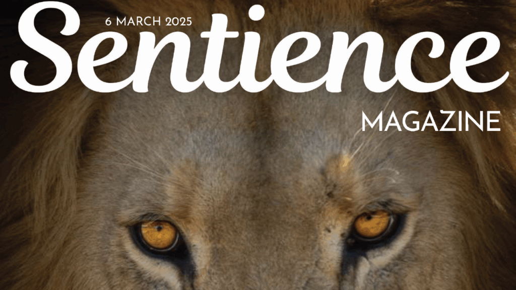 Sentience Issue 1 March 2025 cover