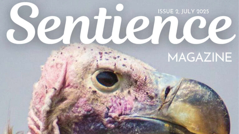 Sentience Issue 2 July 2025 cover